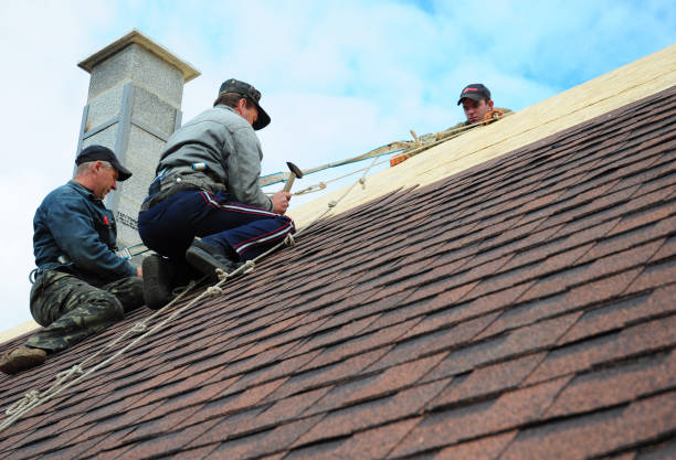 Best Local Roofing Companies  in Bridgeville, PA
